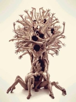arbol-humano