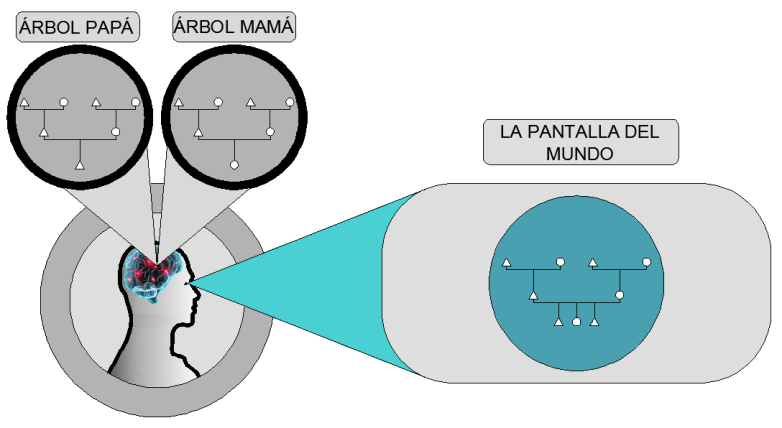 arbol vision cuantica