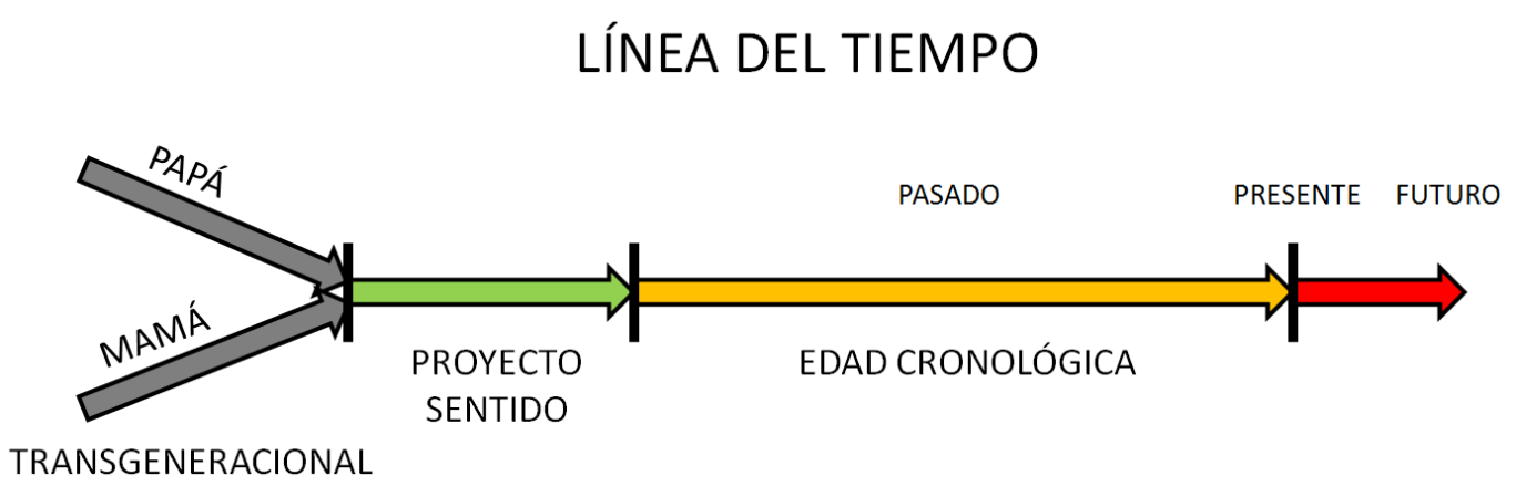 LINIEA DEL TIEMPO