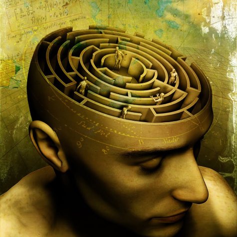 cabeza-laberinto1